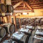 Prenota una visita in Acetaia + Aperitivo